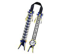 Graduation Lei 2026 - Class Ribbon Necklace Party Decoration for Seniors | Colorful Satin Material with Can Display Stand, Photo Booth Accessory, Celebration Ornament for High School College Universit