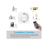 Graffiti EU Socket 20A Wifi Plug with Power Monitoring for Assistant/Alexa