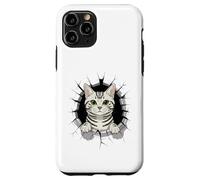 Graffiti Wall Art American Shorthair Carcasa para iPhone 11 Pro