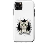 Graffiti Wall Art American Shorthair Carcasa para iPhone 11 Pro MAX