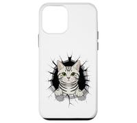 Graffiti Wall Art American Shorthair Carcasa para iPhone 12 Mini