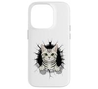 Graffiti Wall Art American Shorthair Carcasa para iPhone 14 Pro