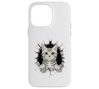 Graffiti Wall Art American Shorthair Carcasa para iPhone 14 Pro MAX