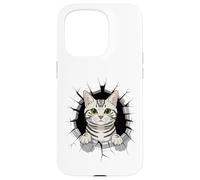 Graffiti Wall Art American Shorthair Carcasa para iPhone 15 Pro