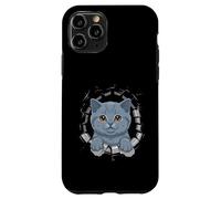 Graffiti Wall Art British Shorthair Carcasa para iPhone 11 Pro