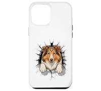 Graffiti Wall Art Collie Collies Carcasa para iPhone 12 Pro MAX