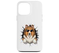 Graffiti Wall Art Collie Sunglasses Collies Carcasa para iPhone 13 Pro MAX