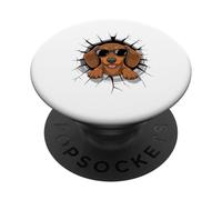Graffiti Wall Art Dachshund Sunglasses Doxie PopSockets PopGrip Adhesivo
