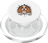 Graffiti Wall Art English Cocker Spaniel PopSockets PopGrip para MagSafe