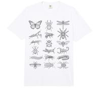 Gráfico científico de Historia Natural de Especies de Insectos de entomología Comfort Colors Adult Heavyweight T-Shirt