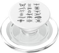 Gráfico científico de Historia Natural de Especies de Insectos de entomología PopSockets PopGrip para MagSafe