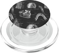 Gráfico de anatomía de Dientes Humanos Vintage con Tema Dental PopSockets PopGrip para MagSafe