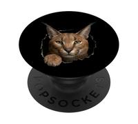 Gráfico de Animal Caracal Wild Cat Breaking Through Torn Hole PopSockets PopGrip Adhesivo
