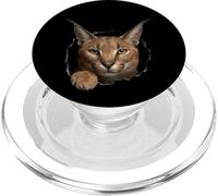 Gráfico de Animal Caracal Wild Cat Breaking Through Torn Hole PopSockets PopGrip para MagSafe
