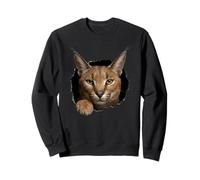 Gráfico de Animal Caracal Wild Cat Breaking Through Torn Hole Sudadera