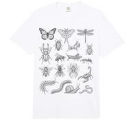 Gráfico de Especies de Insectos científicos Entomología Historia Natural Comfort Colors Adult Heavyweight T-Shirt
