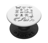 Gráfico de Especies de Insectos científicos Entomología Historia Natural PopSockets PopGrip Adhesivo