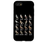 Gráfico Mundial de Especies de Rapaces de Rapaces en Todo el Mundo Carcasa para iPhone SE (2020) / 7/8