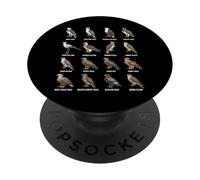Gráfico Mundial de Especies de Rapaces de Rapaces en Todo el Mundo PopSockets PopGrip Adhesivo