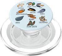 Gráfico Variado de mejillones Ocean Foodie Design para Amantes de los mariscos PopSockets PopGrip para MagSafe