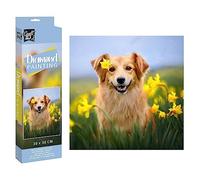 Grafix Diamond Painting Perro en prado 30 x 30 cm
