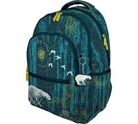 Grafoplás 37502216. Mochila Escolar, Colección Diverse, North Polar, Compartimento Acolchado para Portátil, Adaptable a Carrito, 33x46x22,5cm, Roomy