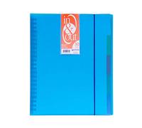 Grafoplás 39423030-Carpeta fundas extraibles, tamaño A4, color azul, 30 fundas