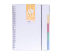 Grafoplás 39424000-Carpeta fundas extraibles, tamaño A4, transparente, 40 fundas