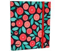 Grafoplás 88101961. Carpesano de Anillas Troqueladas con Recambio de Hojas, A4, Carpebook Noa Globe