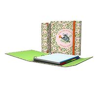Grafoplas - Carpesano A4 de 4 Anillas con Solapa, A4, Solapa y Cierre de Gomas, Incluye Recambio y Separadores, Carpeplús Wise Planet, Koala