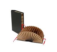 Grafoplas - Carpeta Acordeón para Documentos A5, Negro, 19 Bolsillos, Indicador Alfanumérico, Cubierta Rígida, Tamaño Cuarto, 26.5 x 19.5 cm, Lomo 10 cm, 1 unidad, Serie Pokf