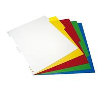Grafoplas - Carpeta de Fundas Extraibles a4 In&Out ECO, 20 Fundas Extra Recicladas 70%, Tapas Rígidas Recicladas 100%, Cambio Fundas Rápido y Práctico, Incluye 5 Separadores y Guía, Cierre Gomas