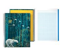 Grafoplas - Cuadernos A4, Tapa Dura, Cuadricula 5x5, 5 Bandas de Color, North Polar, Colección Diverse, Certificado FSC