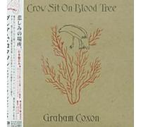 Graham Coxon - Crow SHT on Blood Tree