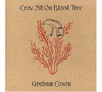 Graham Coxon - Crow Sit on Blood Tree