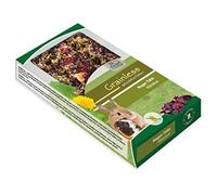 Grainless - Pizarra para roedores (125 g)