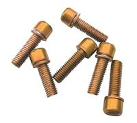 Gralara 6 Tornillos para Portabotellas, Tornillos de M5 X 18 Mm para Pinzas de Freno de Disco/potencias de Manillar, para Bicicletas, Dorado