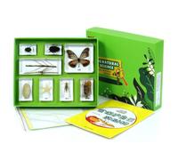 Gralara Caja con Resina Organizado Caja Especímenes Seguro Juguete para Estudiantes, Niños, Array, Animales Que Se Protegen A Sí Mismos