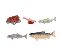 Gralara del Salmón Juego Figuras Animales Juguete Crecimiento Modelo Biológico Incluye Realistas Adecuado para Enseñanza Aula