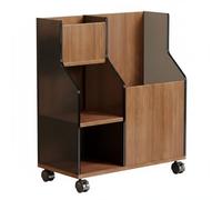 Gralara Fitness Equipment Rack Estante de Almacenamiento de Gimnasio Soporte de Mancuernas Organizador de Colchonetas Portapelotas con Ruedas Giratorias, Nogal Y Té Negro