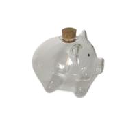 Gralara Hucha de Cristal, Hucha Transparente para