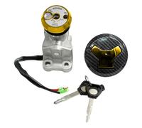 Gralara Kit de Bloqueo de Interruptor de Encendido de Motocicleta Que Incluye Interruptor de Llave de Encendido del Motor, Cerradura de Arranque, Tapa de, Dorado