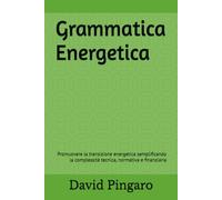 Grammatica Energetica: Transizione energetica e rischi finanziari: un approccio analitico integrato