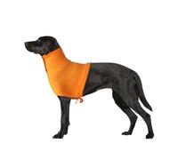 Gran Finale - Camiseta de protección para Perros y Gatos, diseño de Conejo
