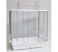 Gran Jaula Para Aves Para Periquitos Canarios Y Grandes Loros Con Posadero