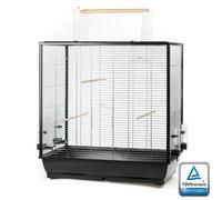 Gran Jaula Para Aves Para Periquitos Canarios Y Grandes Loros Con Posadero