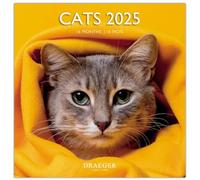 Grand Calendario de pared 29 x 29 cm 2025 - Septiembre 2024 a diciembre de 2025 - Gato
