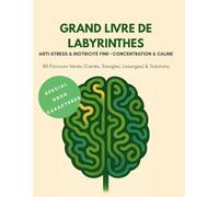 GRAND LIVRE DE LABYRINTHES: Anti-Stress & Concentration • Motricité Fine - Gros Caractères (80 Parcours Variés & Solutions)