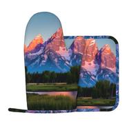 Grand Teton National Park - Guantes de silicona para horno para hombres y mujeres, para hornear al aire libre, asar a la parrilla, equipo de cocina