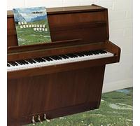 Grandaddy - The sophtware slump ..... on a wooden piano [Vinilo]